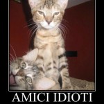 Amici idioti Amici idioti
